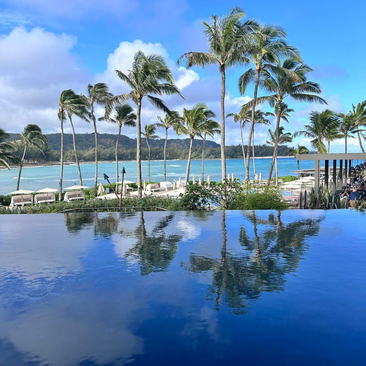 Palm trees and ocean view